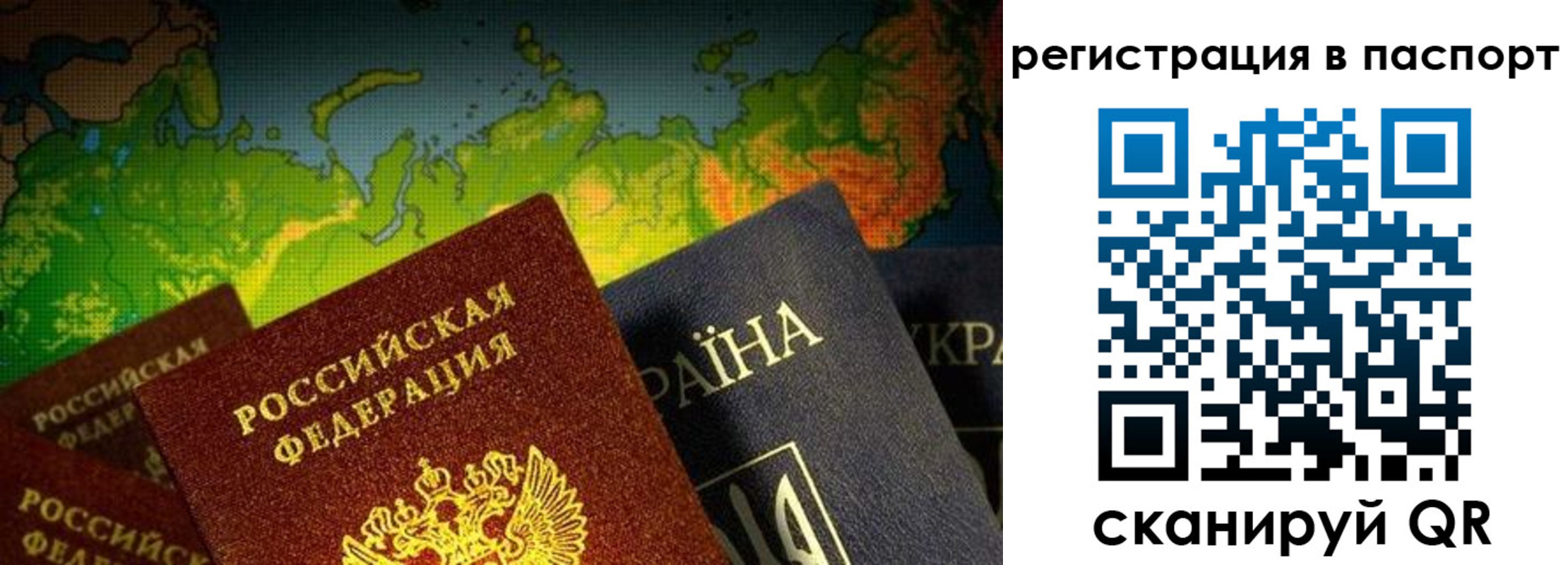 временная регистрация гарантия в Светлом